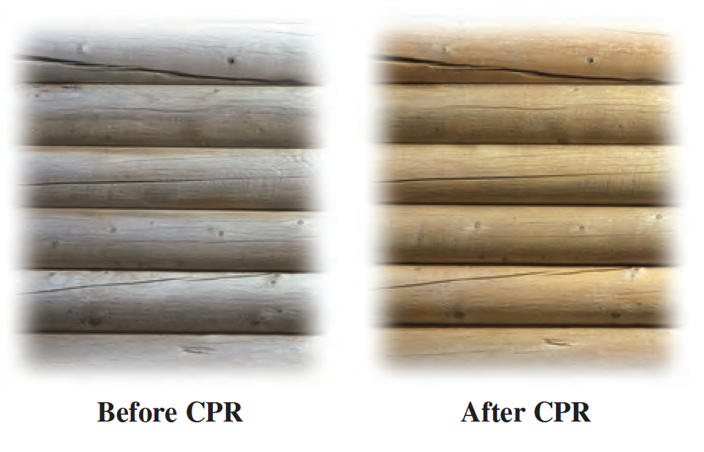 CPR log cleaner before and after example